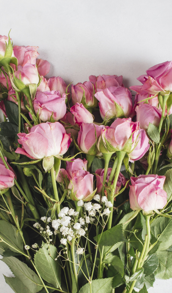 Большой букет розовых роз на сером фоне