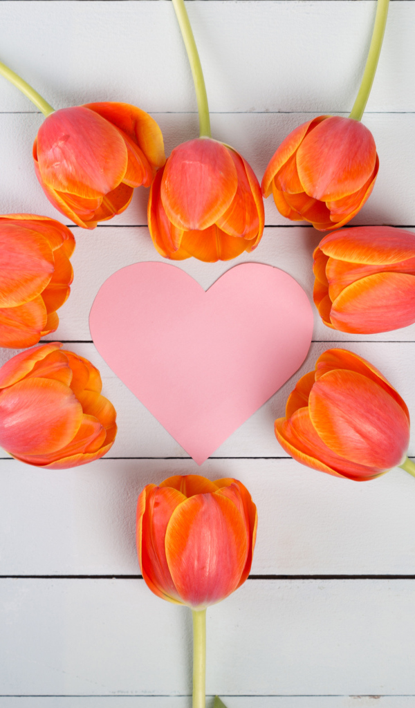 Orange tulips with pink heart on a gray table