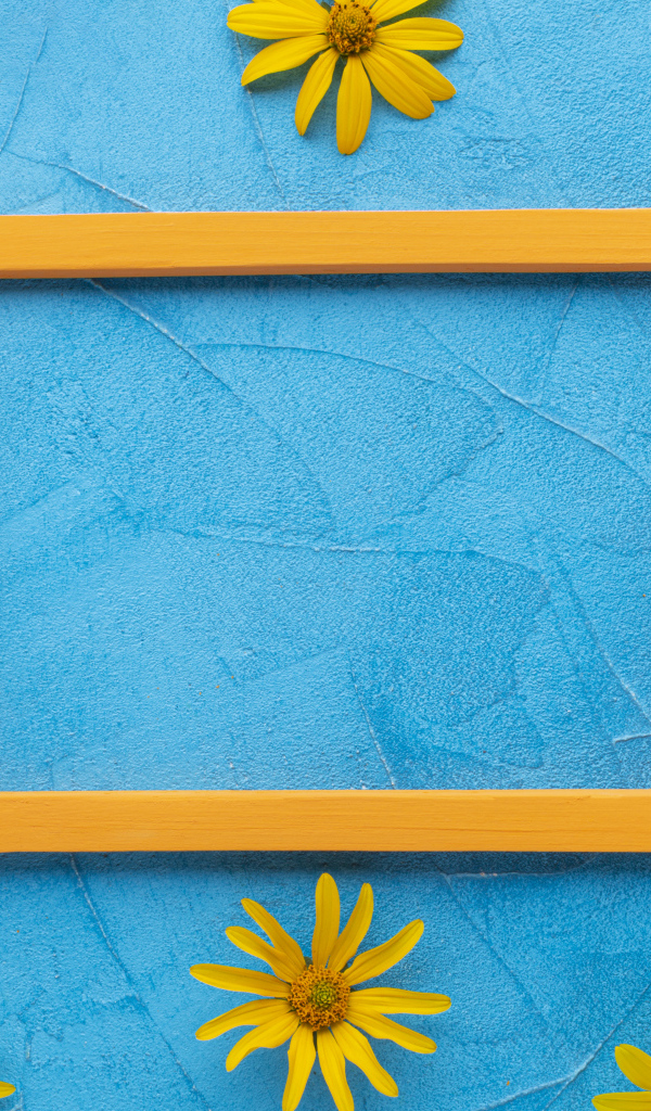 Рамка для фото с желтыми цветами на голубом фоне