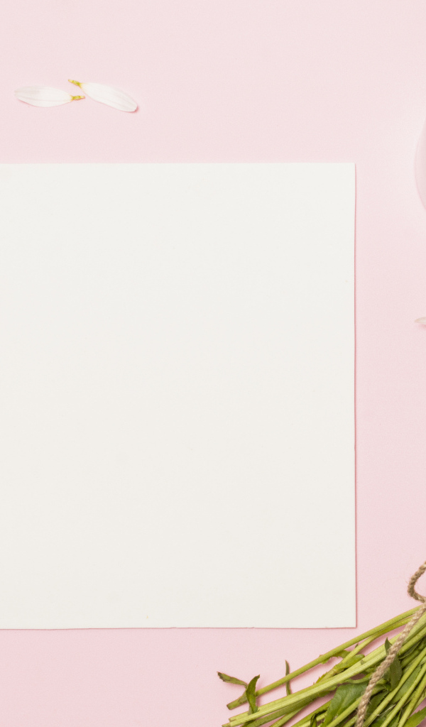 Розовый фон с ромашками, чашкой чая и белым листом бумаги, шаблон