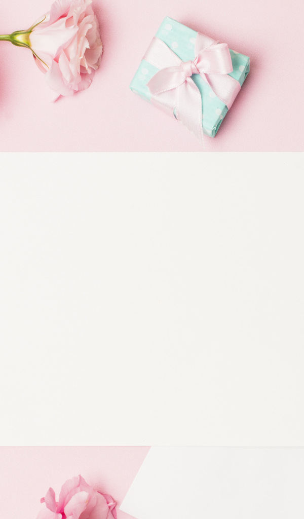 Розовые цветы эустомы с подарками и листом на розовом фоне