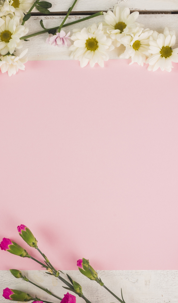 Розовый лист бумаги для открытки с цветами хризантемы