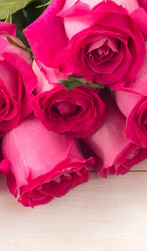 Бутоны розовых роз крупным планом