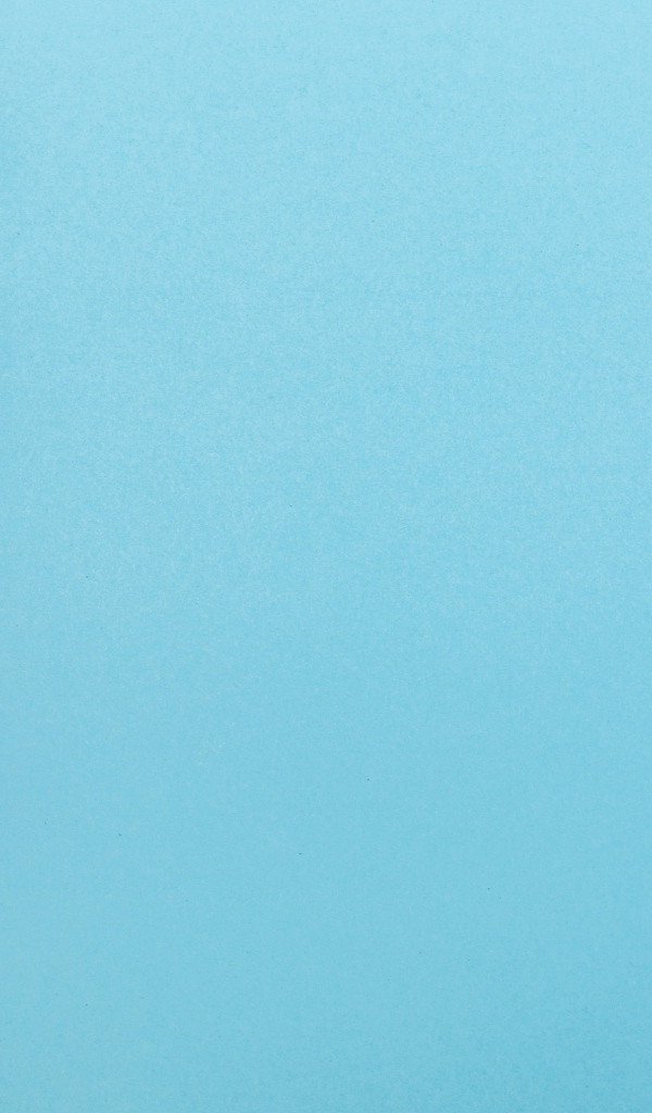 Розовые цветы розы на голубом фоне