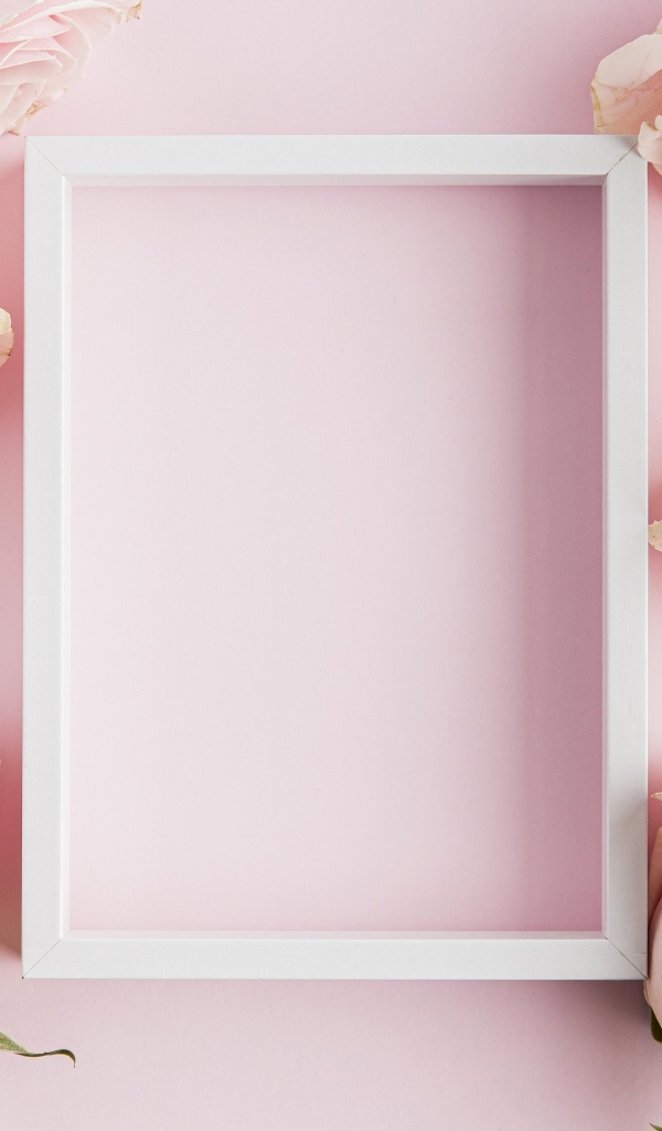 Розовые розы с белой рамкой для открытки