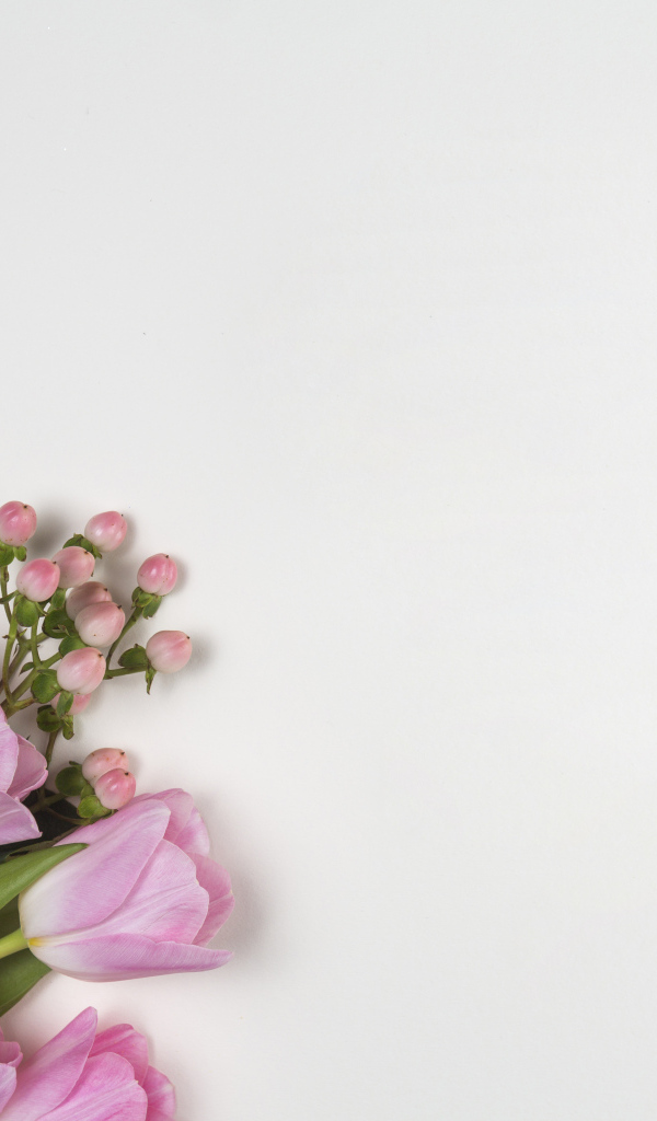 Розовые тюльпаны на сером фоне, шаблон для открытки