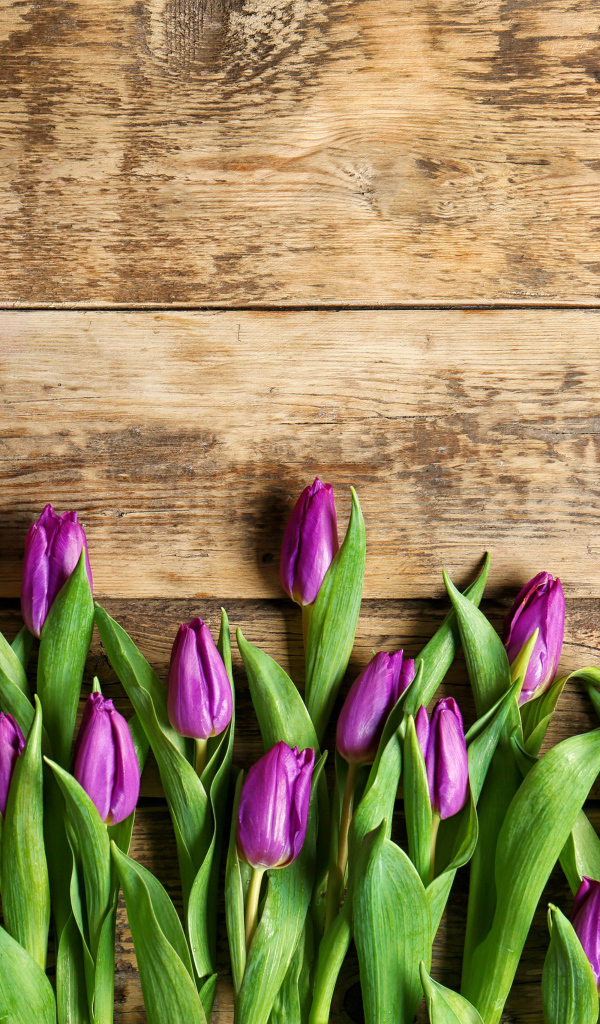 Фиолетовые тюльпаны на деревянном фоне