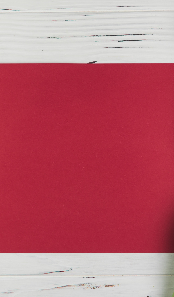 Красный лист бумаги с тюльпанами для шаблона поздравительной открытки