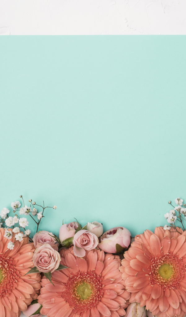 Лист голубой бумаги для фона с цветами розы и герберы