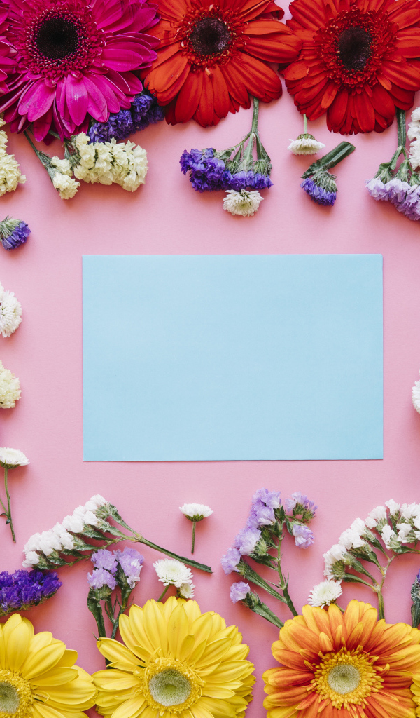 Лист бумаги и герберы на розовом фоне, шаблон