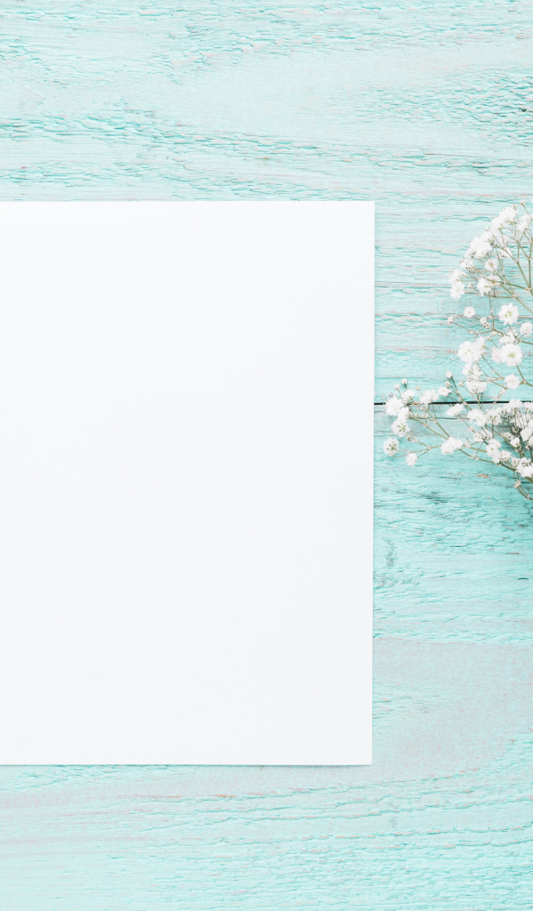 Лист бумаги с белыми цветами гипсофилы на голубом столе