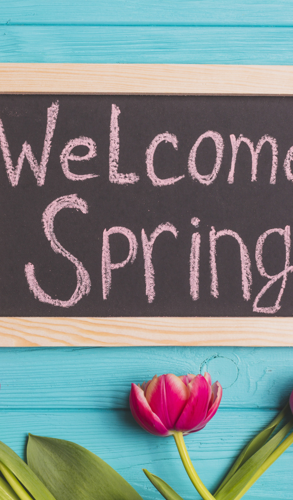 Тюльпаны на голубом фоне с надписью 