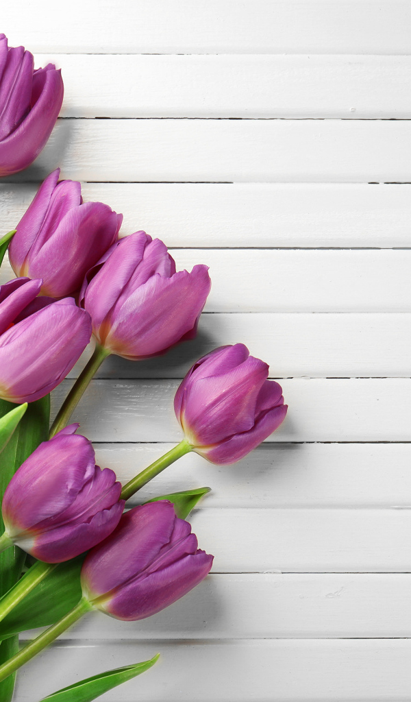 Тюльпаны на белом деревянном фоне