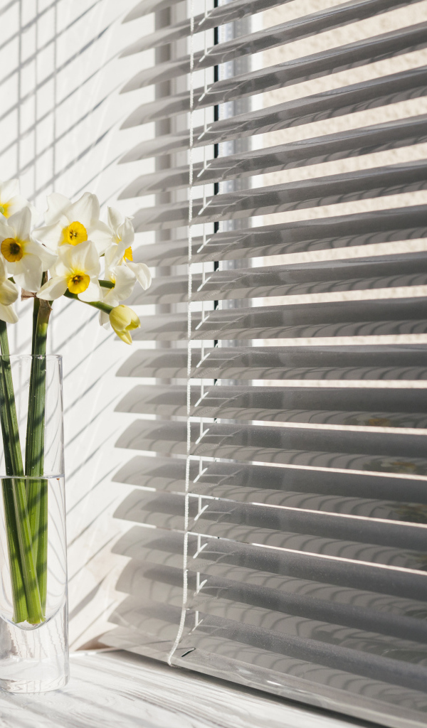 Белые нарциссы в вазе у окна