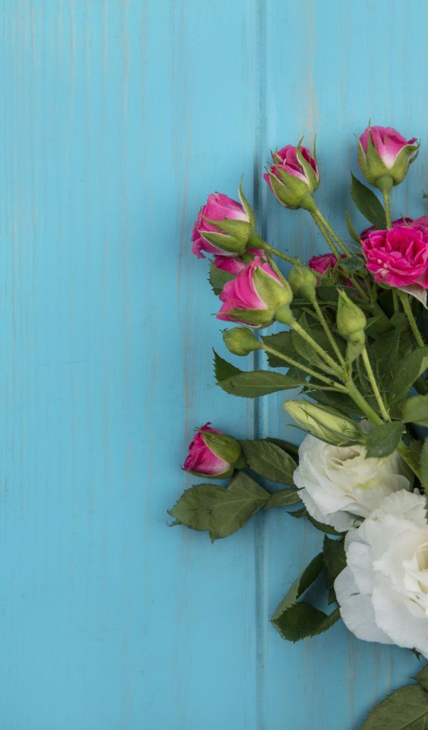 Белые цветы эустомы с розовыми розами на голубом фоне