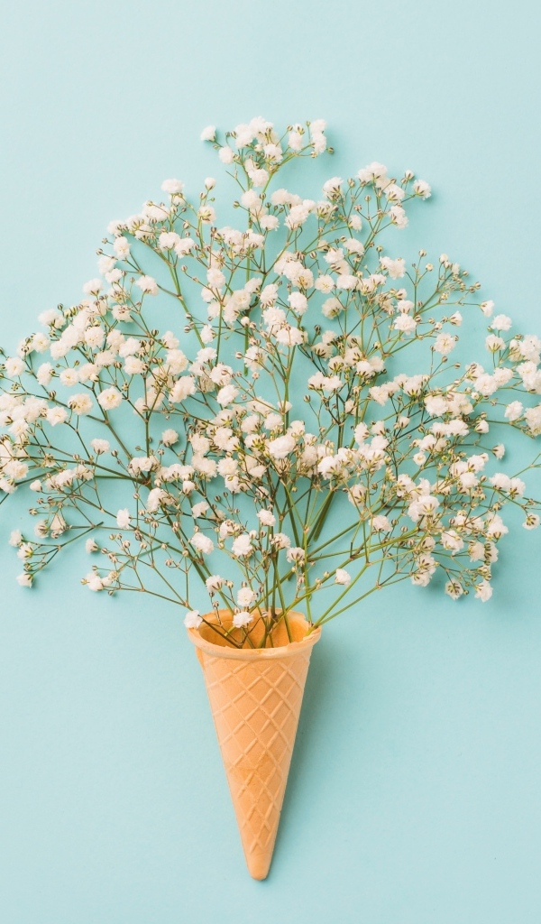 Белые цветы с вафельным рожком на голубом фоне