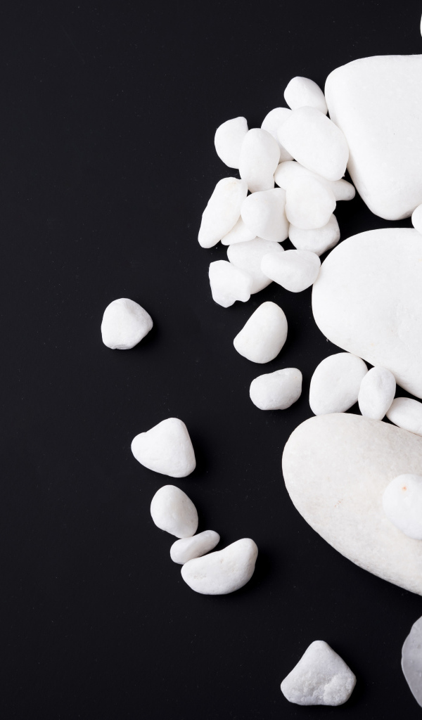 Белые орхидеи с камнями на черном фоне