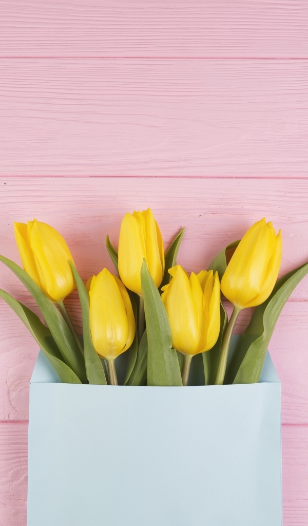 Желтые тюльпаны в конверте на розовом фоне