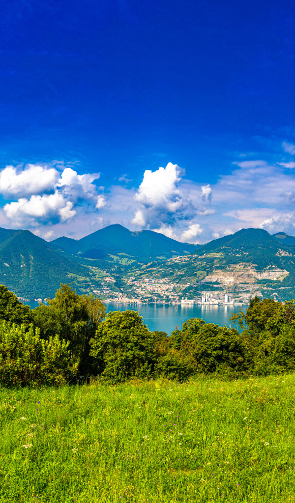 Красивая панорама на горы и зеленую траву