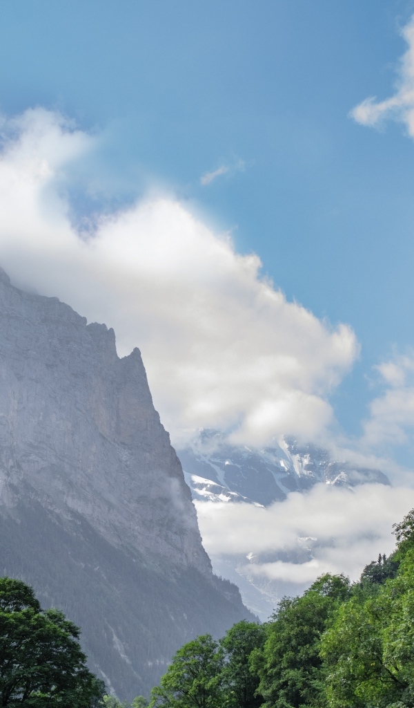 Высокие покрытые зеленью горы в белых облаках