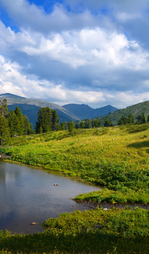 Живописная зеленая горная природа