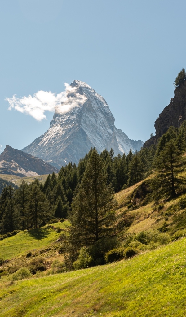 Вид на лес и высокую горную вершину