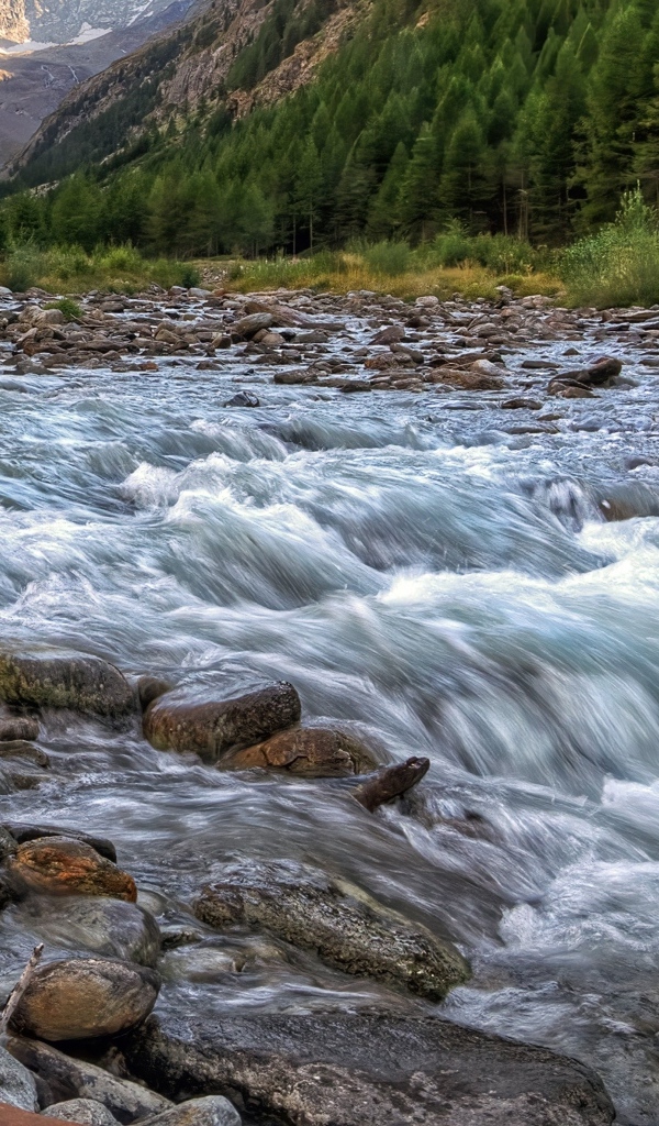 Быстрая холодная река стекает по камням в горах 