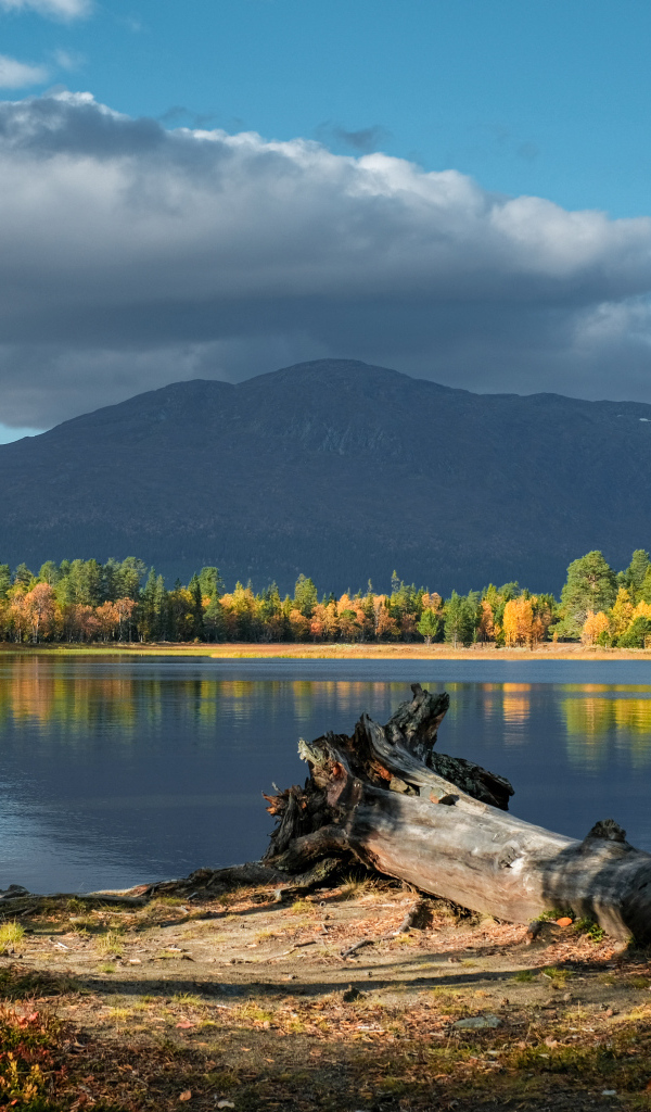 Красивый вид на озеро и гору осенью