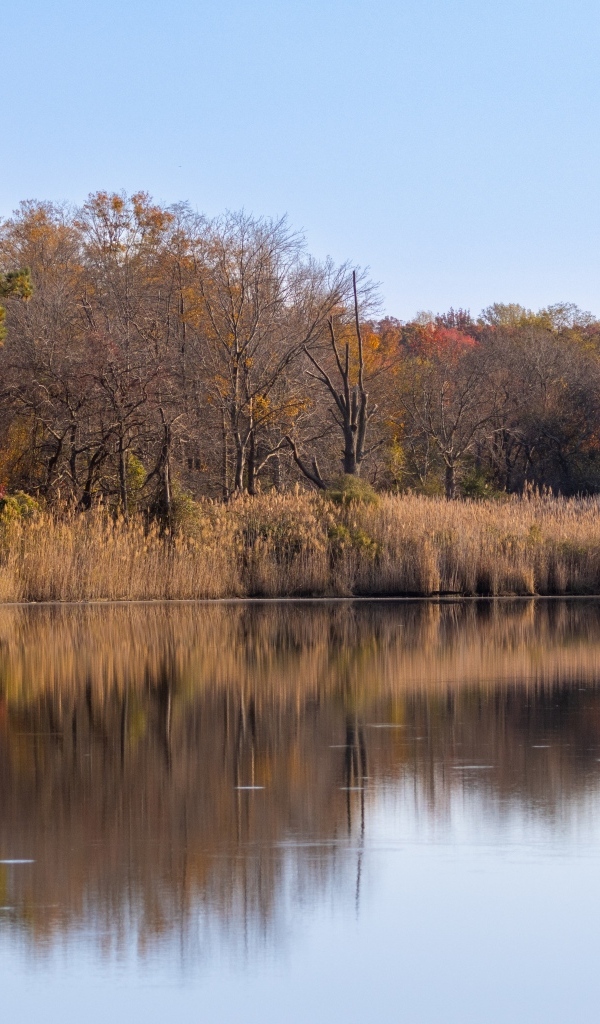 Спокойное озеро в лесу осенью 