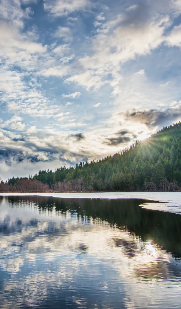 Рассвет яркого солнца над лесом у озера