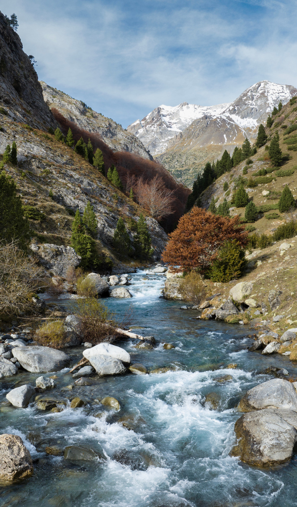 Быстрая река в горном ущелье 