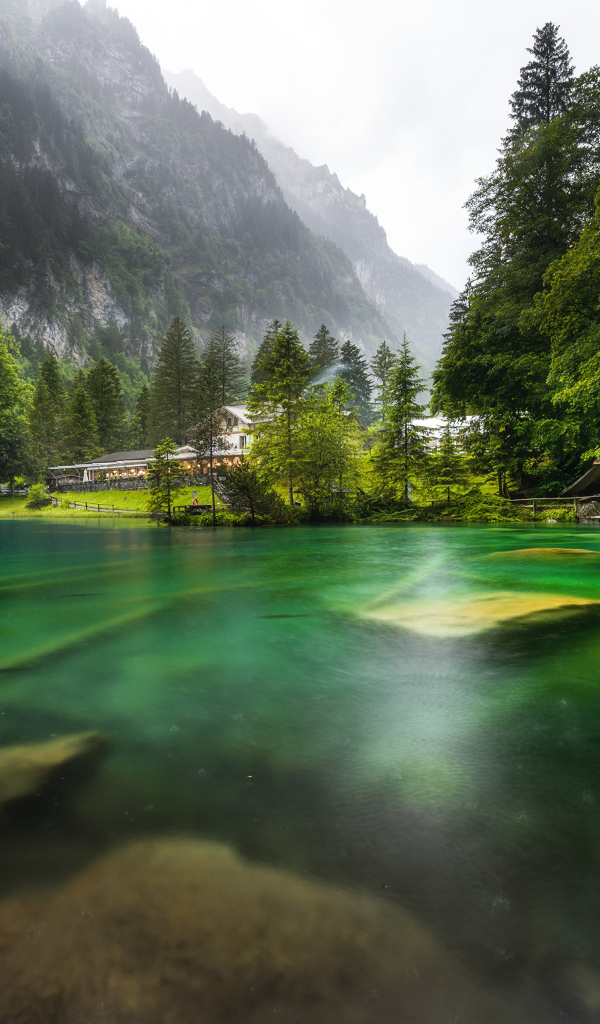 Озеро у подножия Швейцарских Альп