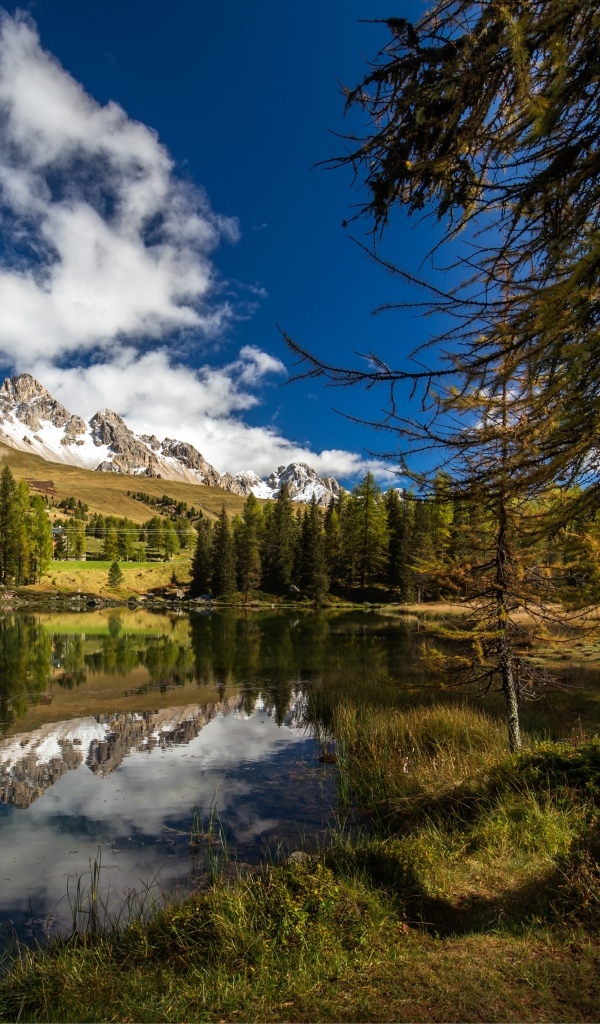 Озеро в горах с высокими елями под голубым небом