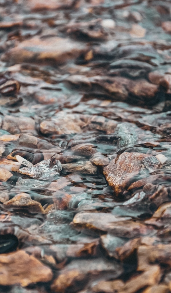 Мелкая река с камнями