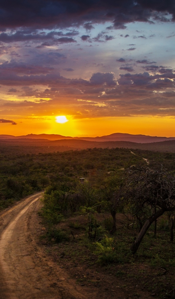 Красивый закат яркого летнего солнца над дорогой