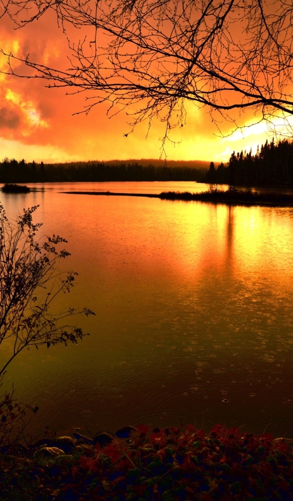 Спокойная гладь реки на закате солнца осенью 