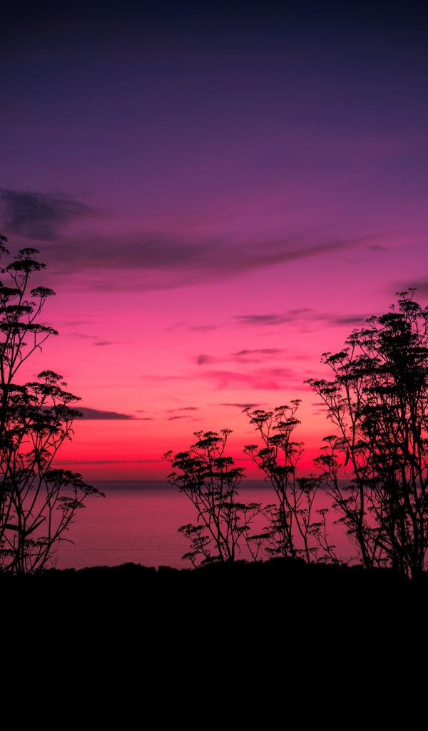 Розовый закат у тихого озера