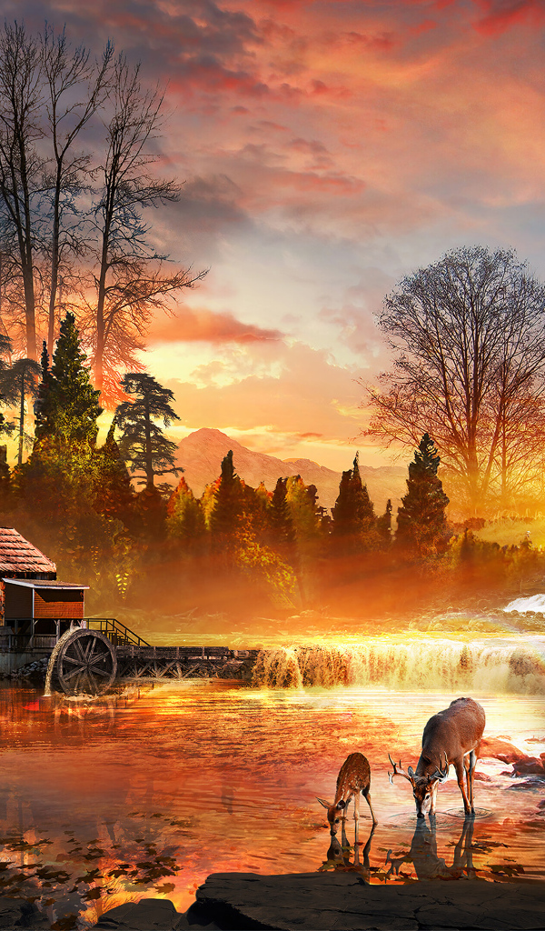 Закат солнца у лесной реки со старым домом