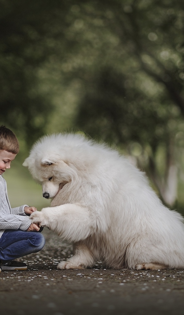 Мальчик на дороге с большим белым псом