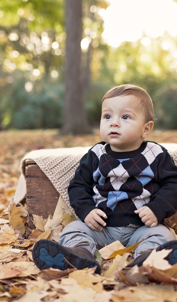 Мальчик сидит на опавшей осенней листве