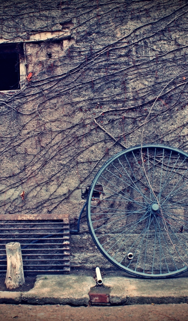 Мальчик с большим колесом стоит у стены