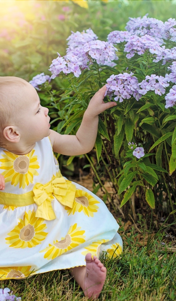 Маленькая девочка в платье сидит у цветов флокса