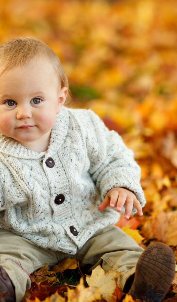 Маленький ребенок сидит на опавших осенних листьях