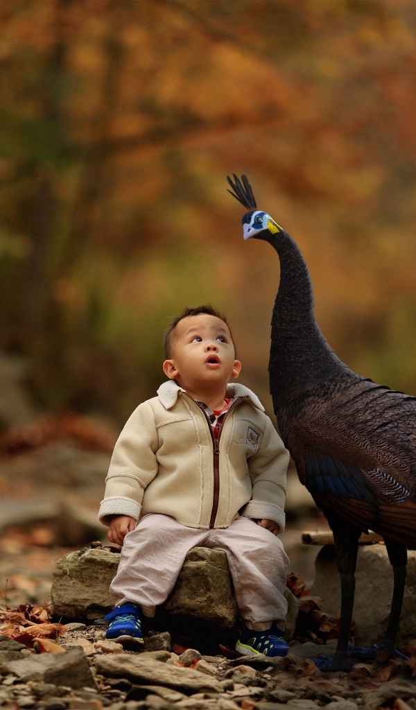 Мальчик с павлином в парке