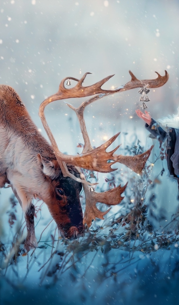 Мальчик с северным оленем играет колокольчиком