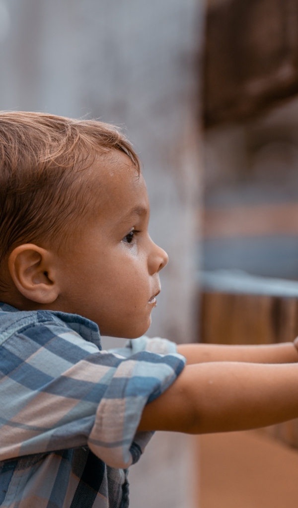 Любопытный мальчик в рубашке