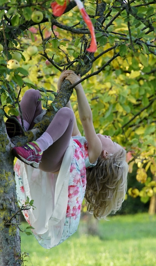 Девочка висит на дереве с яблоками