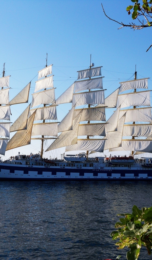 Большой корабль под белыми парусами 