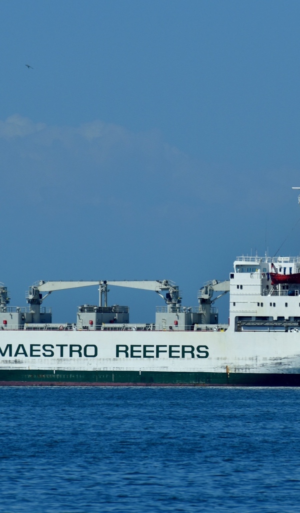 Большой грузовой корабль Maestro reefers  в море
