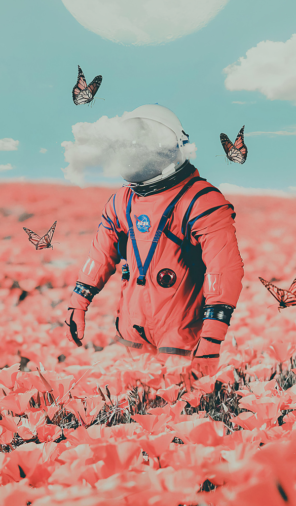 Астронавт на поле с красными маками и бабочками